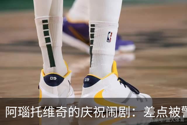 阿瑙托维奇的庆祝闹剧：差点被警察当成假球迷
